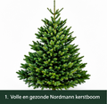 Nordmann Excellent – Kerstboom – Gezaagd – 100–125 cm