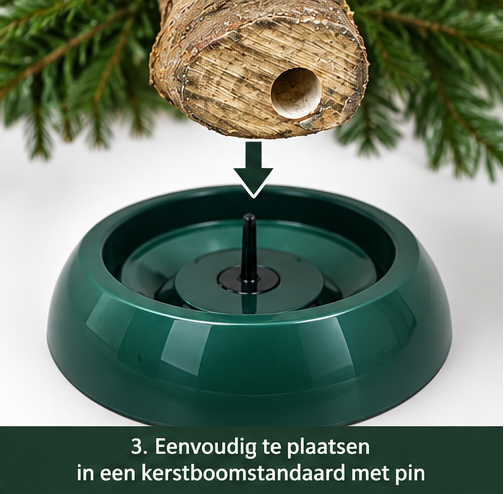 Nordmann Excellent – Kerstboom – Gezaagd – 100–125 cm